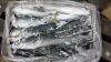 Yellow tail frozen who...