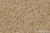 sesame