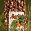 500g. Raw Hazelnut Kernel