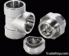 Alloy Steel Forged Pip...