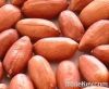 Peanuts