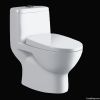 One-Piece Siphonic Por...