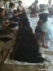 Myanmar Bulk hair Natural