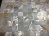 sea shell art, white M...