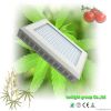 300 watt led grow light for Greenhouse Lighting Horticulture led grow