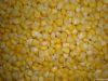 china iqf sweet corn