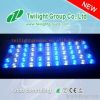 Hot selling! Aquarium ...