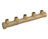 Brass Manifold