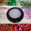 UFO 150w led grow light for medical plant