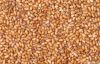 brown Teff grain, Oats, Quinoa, Millet, Spelt, Bulgur, Barley, Sorghum Suppliers, Exporters