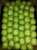 Fresh Red/Green apples...
