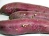 SWEET POTATO