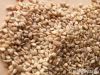 Sesame seeds