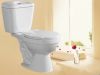 siphonic two piece toilet