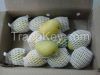 FRESH INDIA MANGO- BEST QUALITY OF ROYAL 