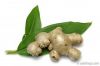 Ginger root PE