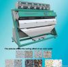 Buhler Optical Color Sorter Machine