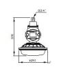 Induction Maintenance free Energy-saving Explosion-proof lamp