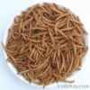 High Quality Dried Mealworms for Dogs Food