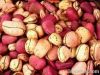 Kola Nuts