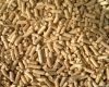 Sawdust Pellet