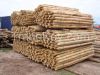 Pine, Spruce, Poplar logs