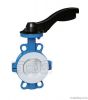 PTFE PFA FEP TEFLON PVDF ETFE line butterfly valve