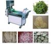 Multifunction inverter...