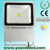 TK02 Bridgelux chip outdoor 100W LED floodlight IP65 CE ROHS 100Lm/w