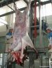 Hydraulic Type Cattle Abattoir Skin Removed  Machine