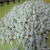 Polystyrene(GPPS.EPS.H...