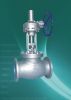 Globe Valve