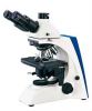 Polarizing Microscope