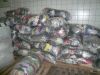 Sorted and unsorted us...