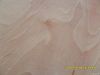 okumen plywood commercial plywood  okumen plywood 1220*2440mm