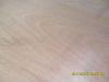 okumen plywood commercial plywood  okumen plywood 1220*2440mm