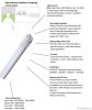 Japanese t8 led tube light