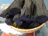 Mangrove hardwood charcoal - Best seller charcoal from VietNam