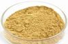  Green Coffee Bean Extract Total Chlorogenic Acid CAS No.327-97-9 Losing weight