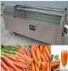 Hot Selling Carrot Was...