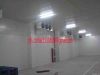 Cold Storage