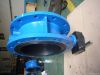 manufactrurer supply middle line double flange butterfly valve