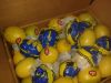 Fresh ( Adalia - Verna...
