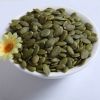china shine skin pumpkin kernels A  AA