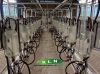 fish-bone milking machine parlor