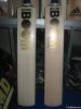 BOOM BOOM 5 STAR ENGLISH WILLOW CRICKET BAT 2012