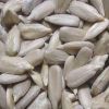 sunflower seeds kernels