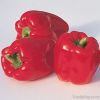 LittleFarmFreshIndia-Capsicum