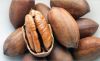 Pecan Western Nuts in ...
