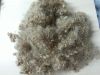 15D*51MM hollow non-co...